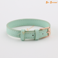 APS - Premium Leather Strap 10pcs/Pack