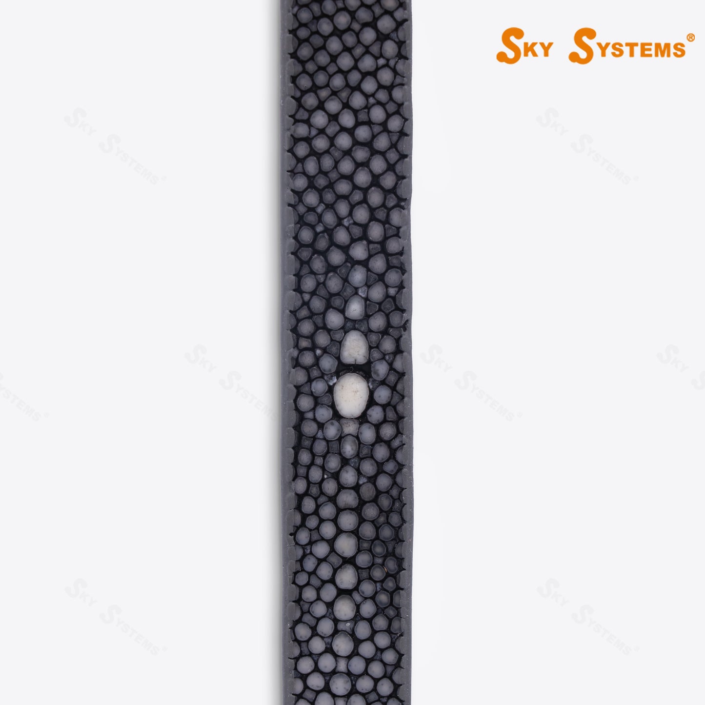 Stingray Flat